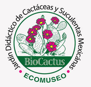 Biocactus Ecomuseo